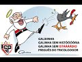 Corinthians Rebaixado!!!