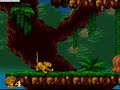 Bitch Slapped by a Monkey.