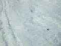 Basty en la nieve