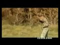 Adventure Travel in New Zealand/???????????