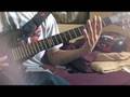 Dogs Can Grow Beards All Over (Cover)