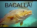 Acaballes Acaballes