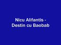 Videoclip Nicu Alifantis Destin cu baobab