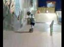 Jake at the Shelter