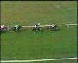 Giants Causeway- 2000 Juddmonte International Stakes
