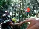 Os Pebas, outra foquinha! Os Pebas, outra foquinha!