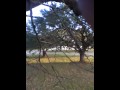 Bowvice and Deewells hunting the runners