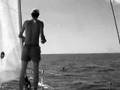 Alta Tensione nel golfo triestino
