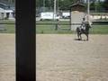 Ben in Equitation better quality