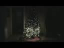 Christmas Tree.MPG