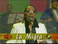 la migra ny live la migra ny live