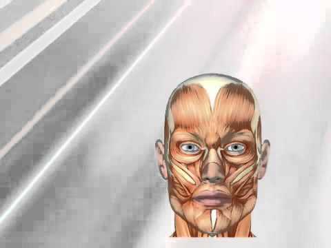 how to remove fat from face