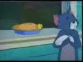 Tomy & Jerry | Maca & Mini