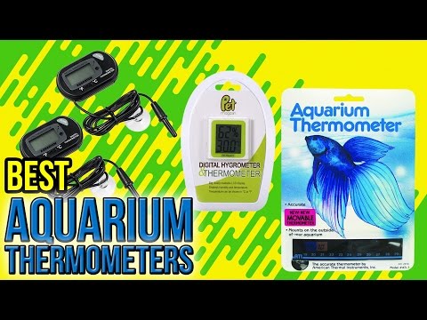 9 Best Aquarium Thermometers 2017