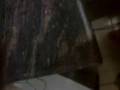 videos de rede na casa do carrara