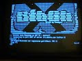 BitchX on a VT100
