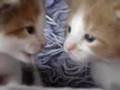 Please click on me to play my video!