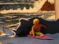 videos de Tuberide Speeded Up version
