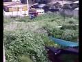 videos de los 3 magnificos