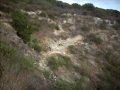 Ryan Smail gets cactused