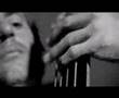 brendan adams trio butterfly cronicles