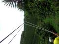 Canopy Over Coffee