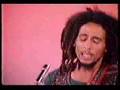 Bob Marley and the Wailers - Roots Rock Reggae