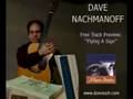 Dave Nachmanoff - Flying A Sign (Free Track Preview)