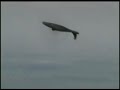 The Duke RAH-66