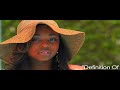 Plies - Worth Goin FED Fo - Call Plies (813) 964-3813