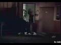 Chaves Noturno - Raríssimo - Profº Girafales Canta Serenata