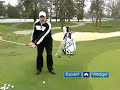 Left-Handed Golf Tips : Backswing for Left-Handed Golfers