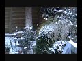 Flimmern und Glitzern bei minus 10 Grad