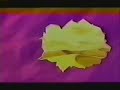 gohan tribute