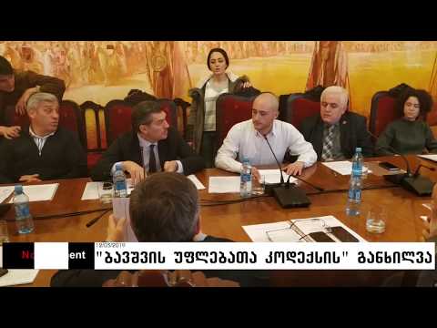 „ბავშვის უფლებათა კოდექსის“ განხილვა