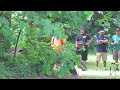 See video