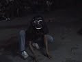 Rengit - Barongan 4 Rengit - Barongan 4