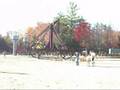 Punkin' Chunkin'