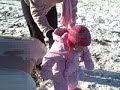 Millie Playing In The Snow Part 3