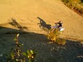 yz426f yz426f