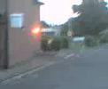 Bush Jump