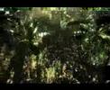 Crysis graphic modded like teaser videos Crysis graphic modded like teaser videos