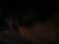 fgj