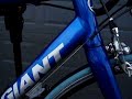 GIANT TCR A 1