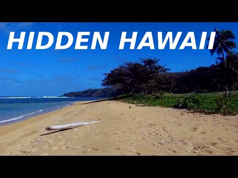 how to budget in hawaii