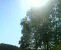 backflip ,backflip 360