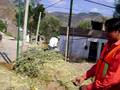 videos de Dios Eolo de Guanajuato