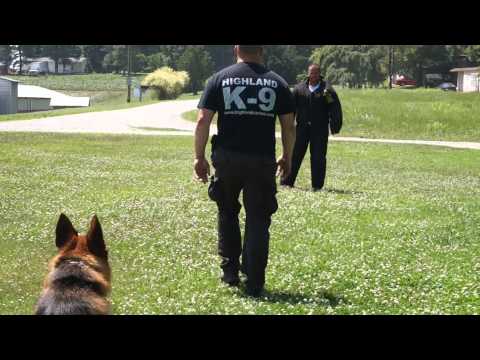 video-linktoworks-Master Dog Trainer School - Learn to Be a Dog Trainer...