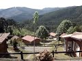 Passarinhos ao amanhecer