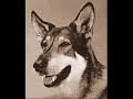Littlest Hobo Tv Theme Iceman\